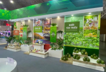 ✨🇻🇳 VINH DỰ ĐỒNG HÀNH TẠI TRIỂN LÃM 80 NĂM QUỐC KHÁNH VIỆT NAM 🇻🇳✨