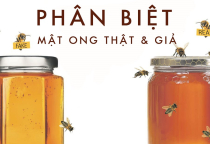 NHỮNG SAI LẦM KHI PHÂN BIỆT MẬT ONG NGUYÊN CHẤT! 