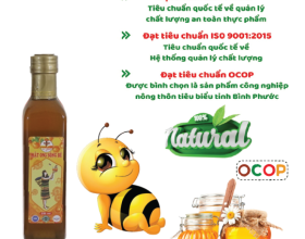 Lợi ích của mật ong với trí não