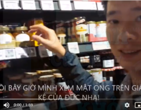 video:Mật ong kết tinh trên giá kệ siêu thị ở Hamburg, Đức - Là loại mật ong tự nhiên và giá rất cao!