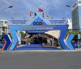 🌸 MẬT ONG SÔNG BÉ – LAN TỎA TINH HOA, QUẢNG BÁ ĐẶC SẢN VIỆT 🌸