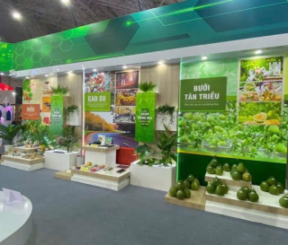 ✨🇻🇳 VINH DỰ ĐỒNG HÀNH TẠI TRIỂN LÃM 80 NĂM QUỐC KHÁNH VIỆT NAM 🇻🇳✨