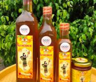 Giới thiệu Đặc Sản Mật Ong Bình Phước - Mật ong Sông Bé