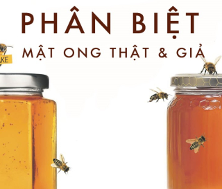 NHỮNG SAI LẦM KHI PHÂN BIỆT MẬT ONG NGUYÊN CHẤT! 