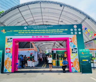 Mật ong sông bé tại lễ hội sâm 2024